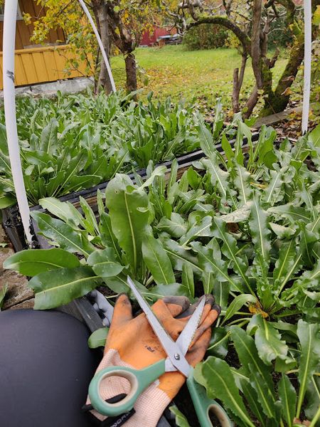 Hovedbilde Vaid A/V/2.3-25