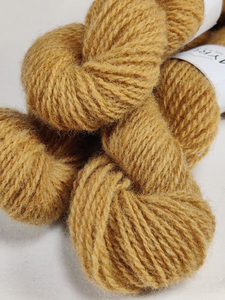 Hovedbilde Steinsopp A/SS/1.2-25